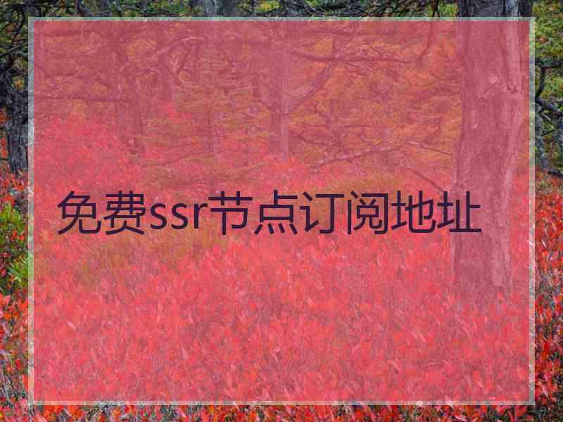 免费ssr节点订阅地址