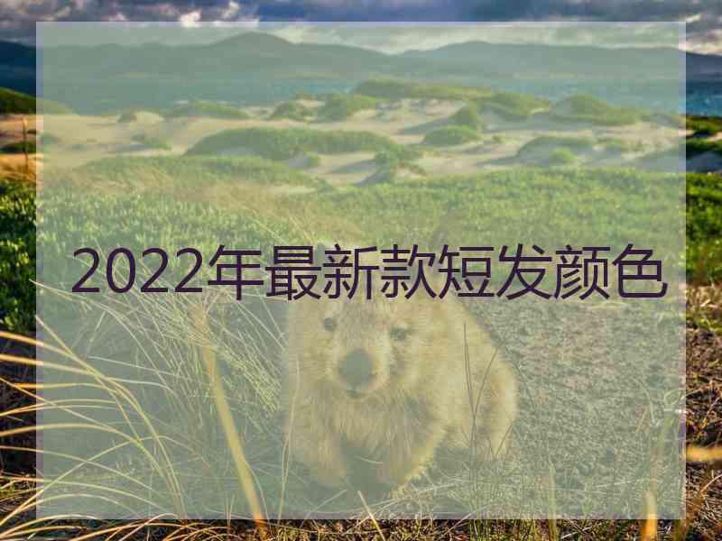 2022年最新款短发颜色