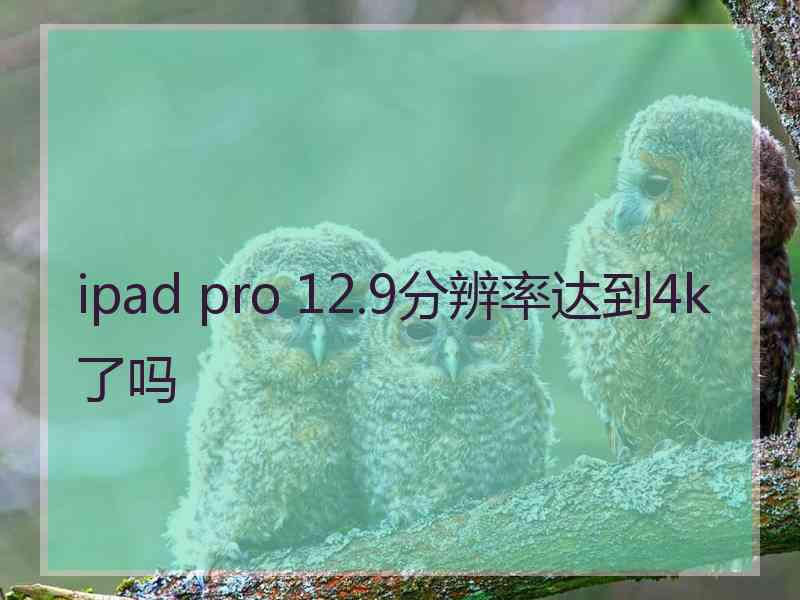 ipad pro 12.9分辨率达到4k了吗