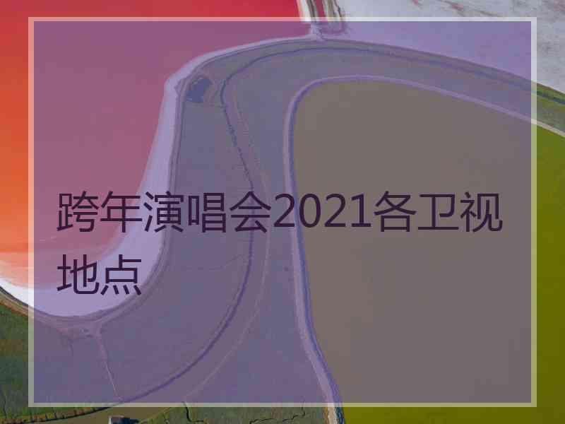 跨年演唱会2021各卫视地点