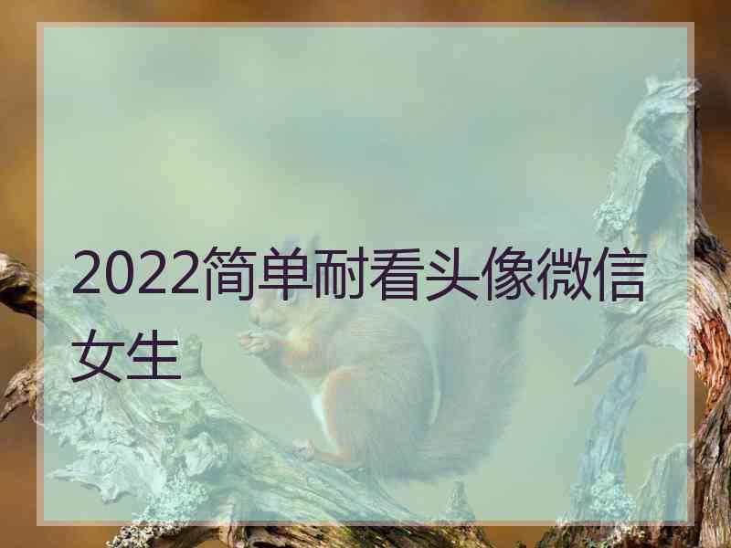 2022简单耐看头像微信女生