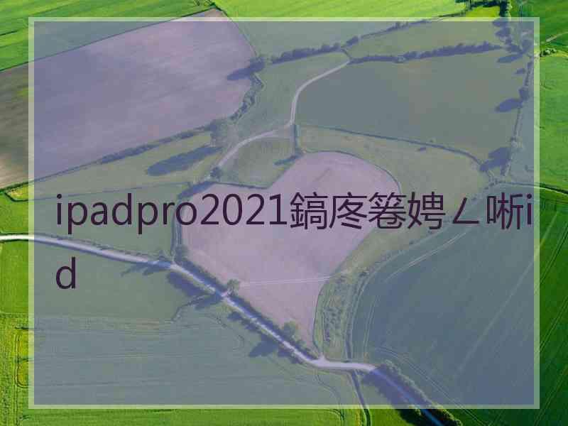 ipadpro2021鎬庝箞娉ㄥ唽id