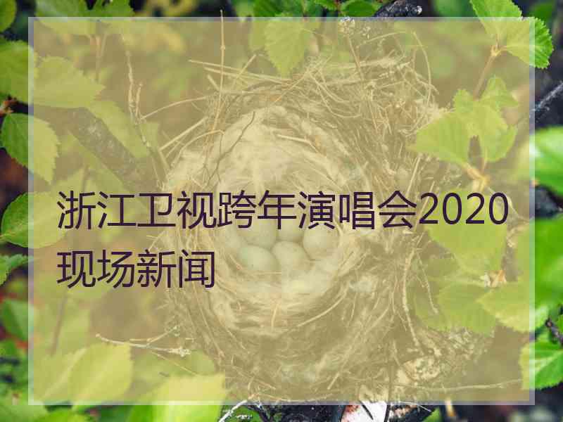 浙江卫视跨年演唱会2020现场新闻