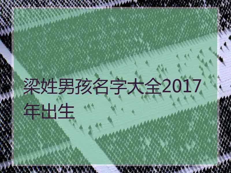 梁姓男孩名字大全2017年出生