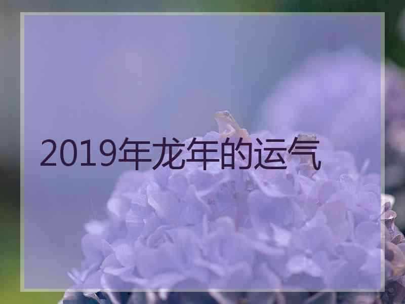 2019年龙年的运气