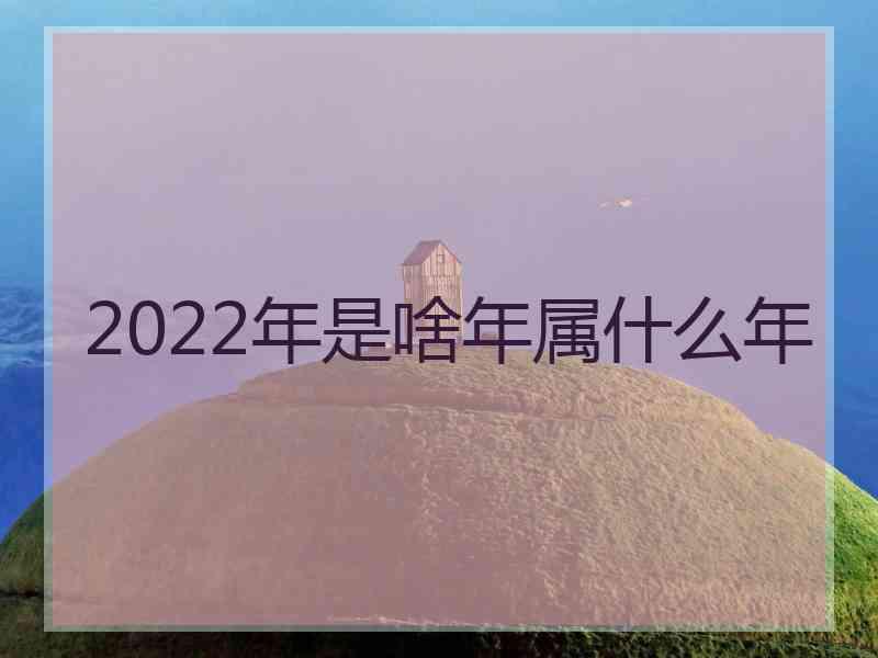 2022年是啥年属什么年