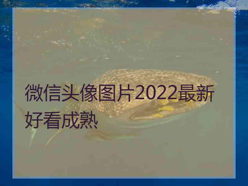 微信头像图片2022最新好看成熟