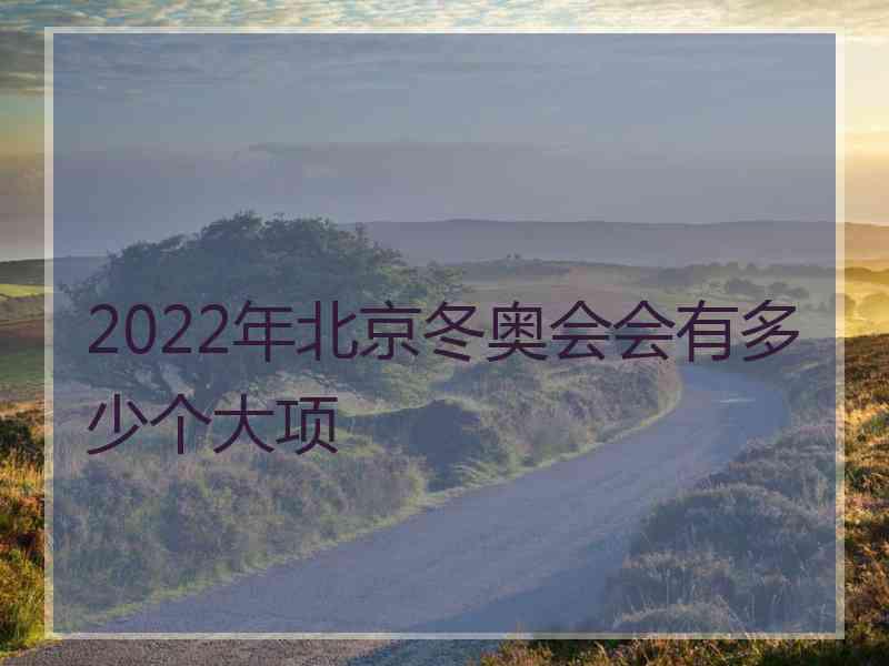 2022年北京冬奥会会有多少个大项