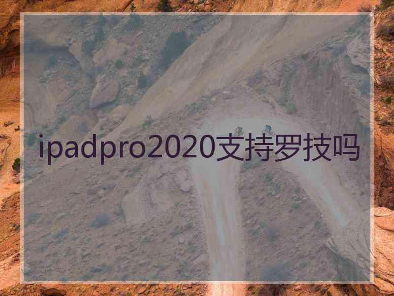 ipadpro2020支持罗技吗