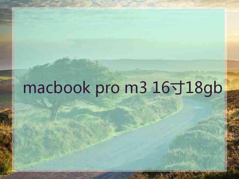 macbook pro m3 16寸18gb