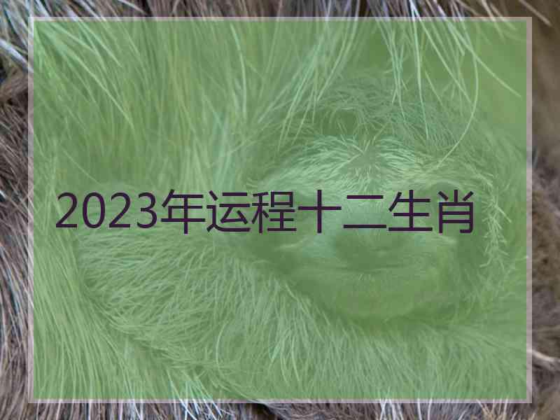 2023年运程十二生肖