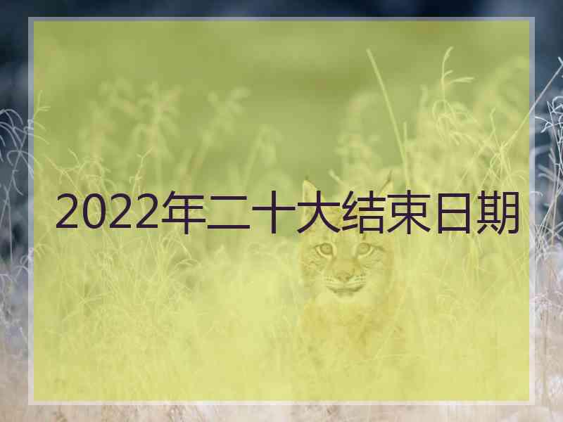 2022年二十大结束日期