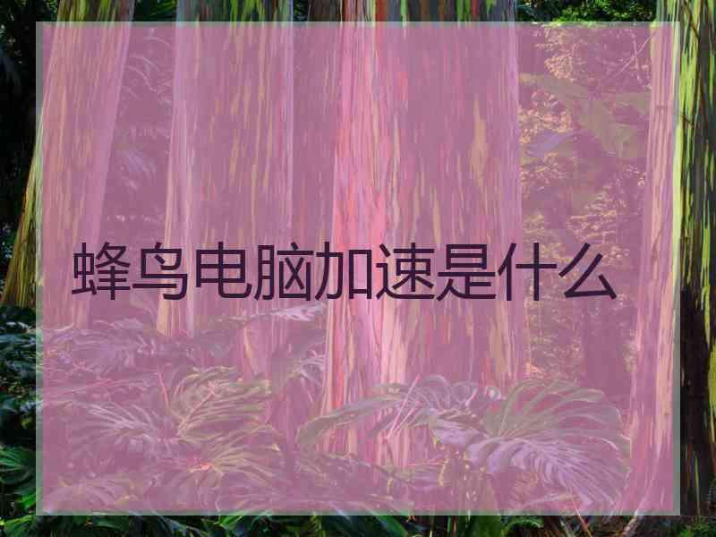 蜂鸟电脑加速是什么