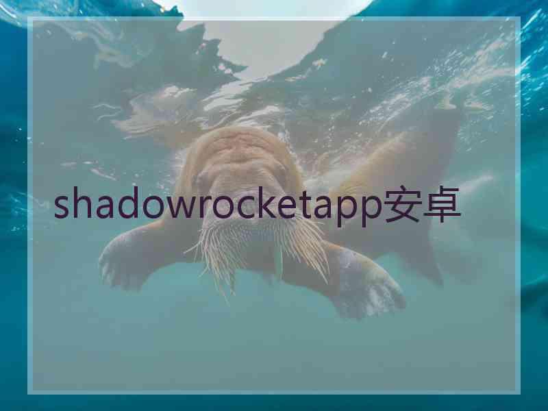 shadowrocketapp安卓