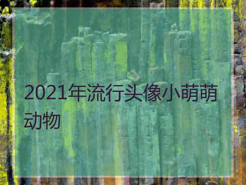 2021年流行头像小萌萌动物