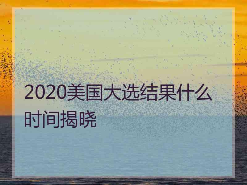 2020美国大选结果什么时间揭晓