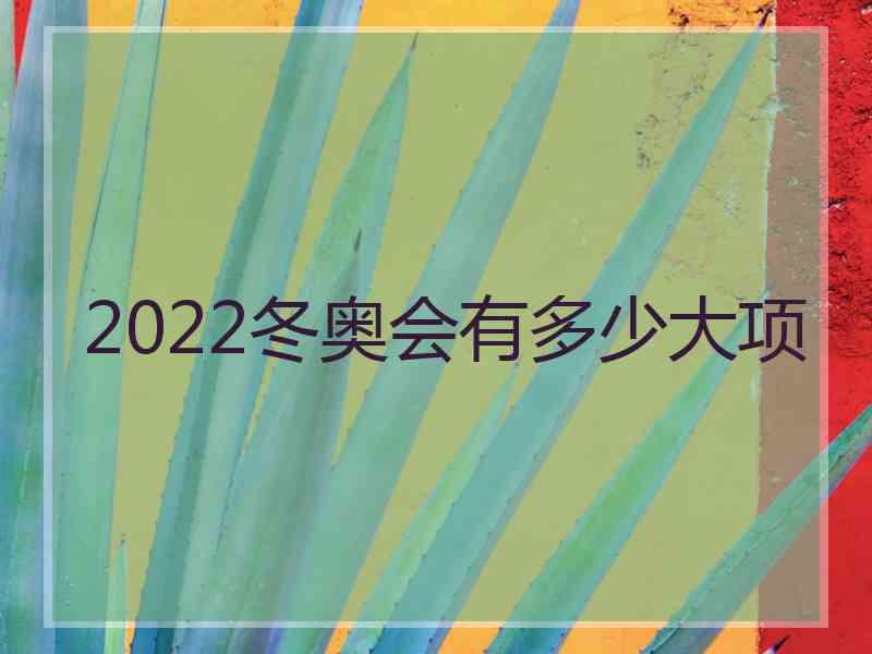 2022冬奥会有多少大项