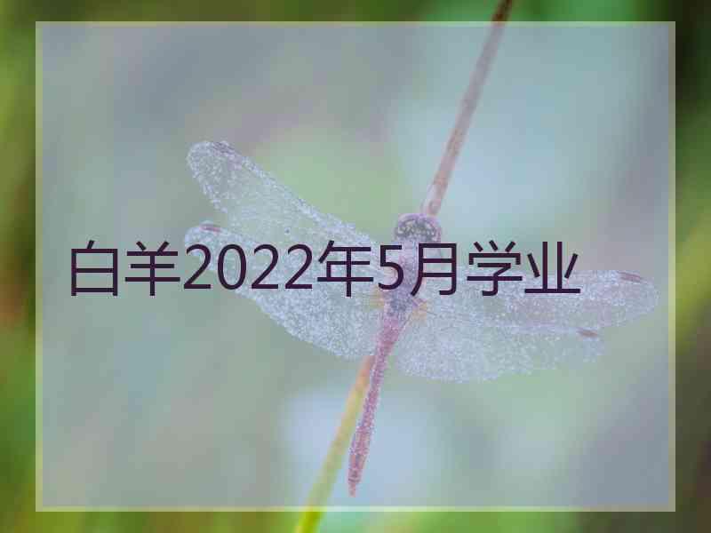 白羊2022年5月学业