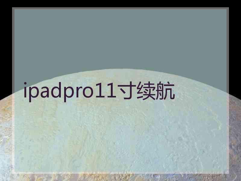 ipadpro11寸续航