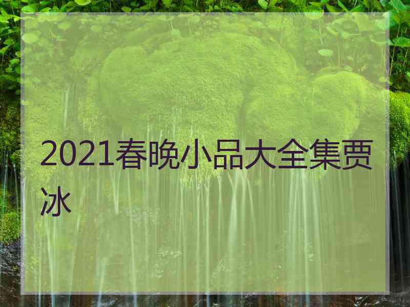 2021春晚小品大全集贾冰