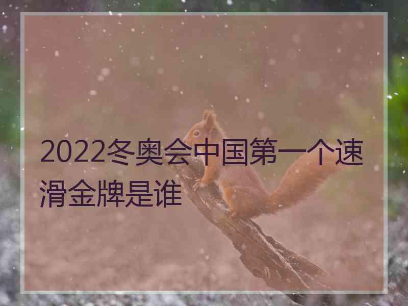 2022冬奥会中国第一个速滑金牌是谁