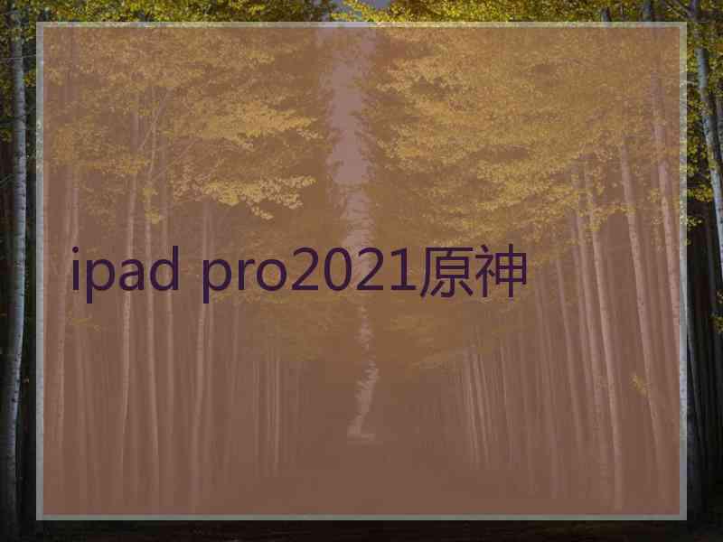 ipad pro2021原神