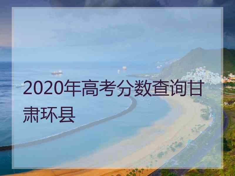 2020年高考分数查询甘肃环县