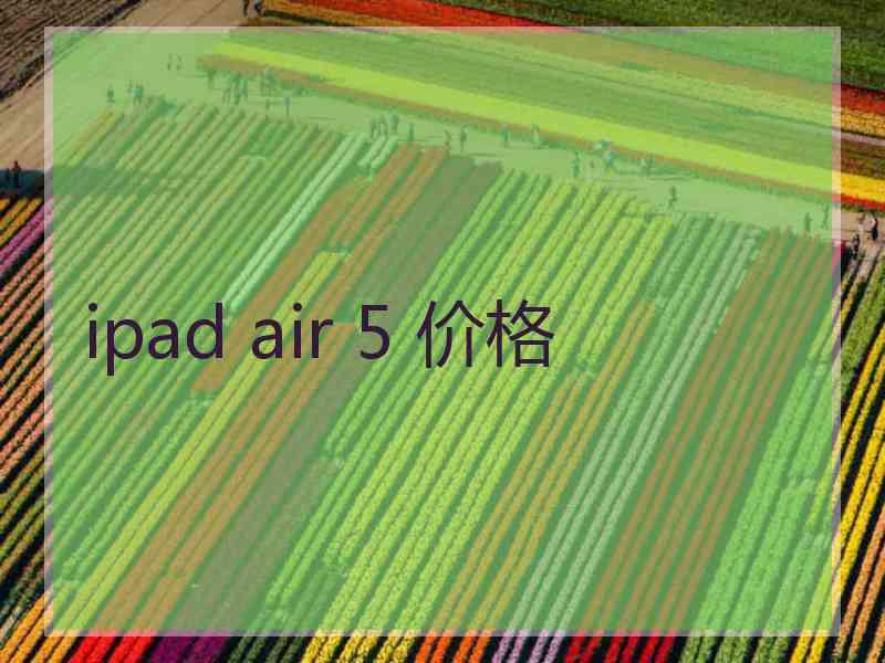 ipad air 5 价格