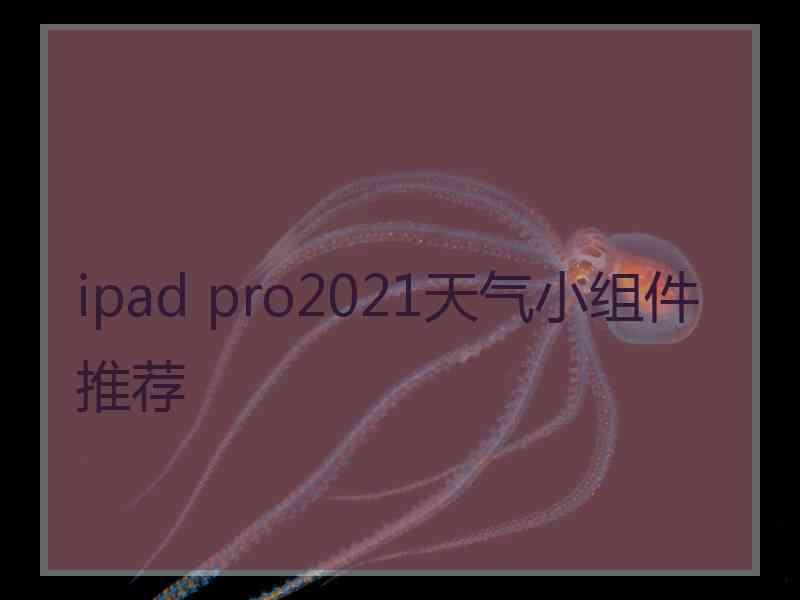 ipad pro2021天气小组件推荐