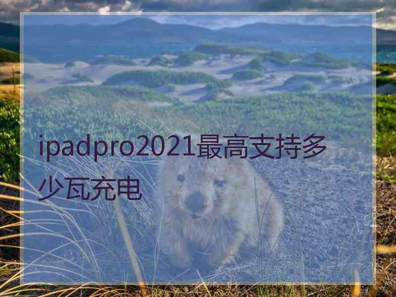 ipadpro2021最高支持多少瓦充电