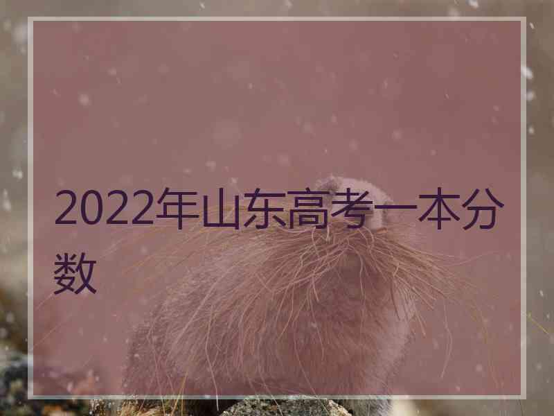 2022年山东高考一本分数