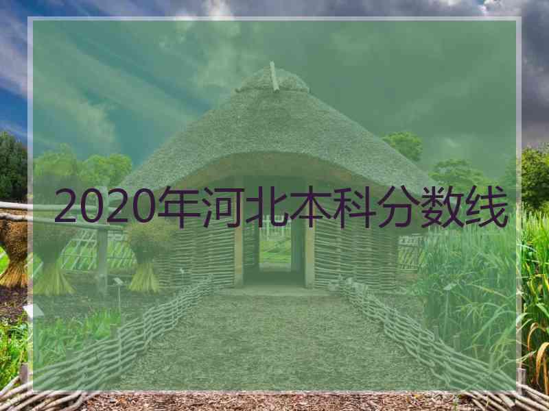 2020年河北本科分数线