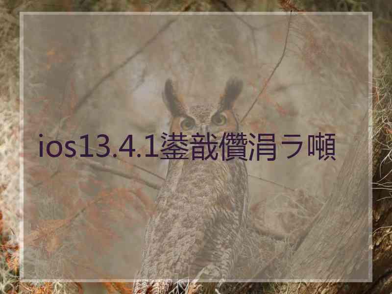 ios13.4.1鍙戠儹涓ラ噸