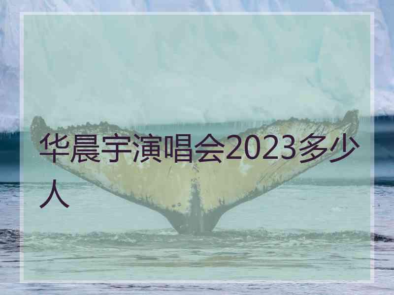 华晨宇演唱会2023多少人