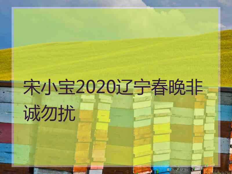 宋小宝2020辽宁春晚非诚勿扰