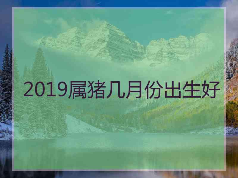 2019属猪几月份出生好