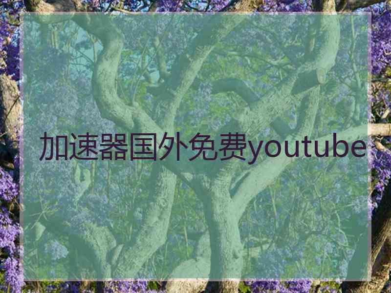 加速器国外免费youtube