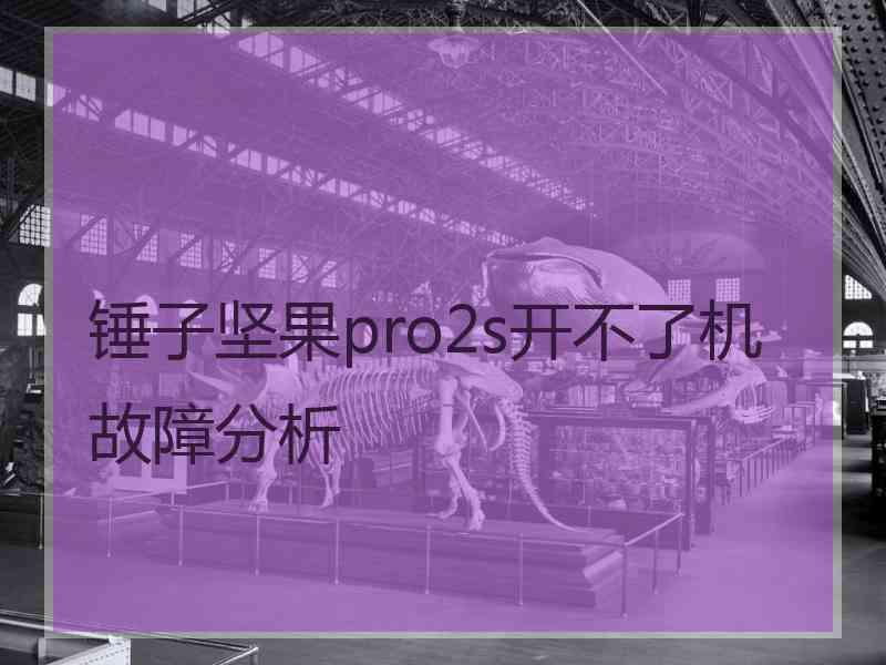 锤子坚果pro2s开不了机故障分析