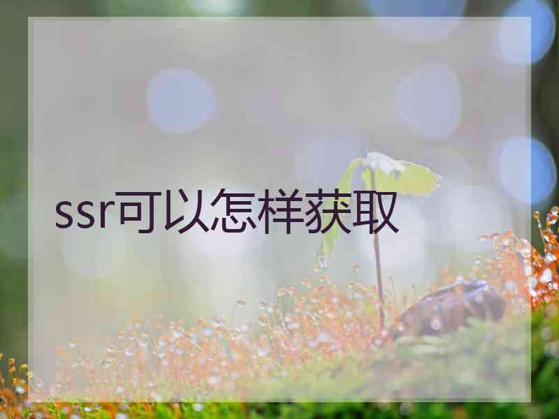 ssr可以怎样获取