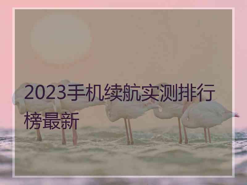 2023手机续航实测排行榜最新