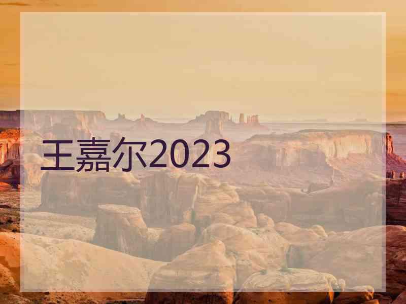 王嘉尔2023