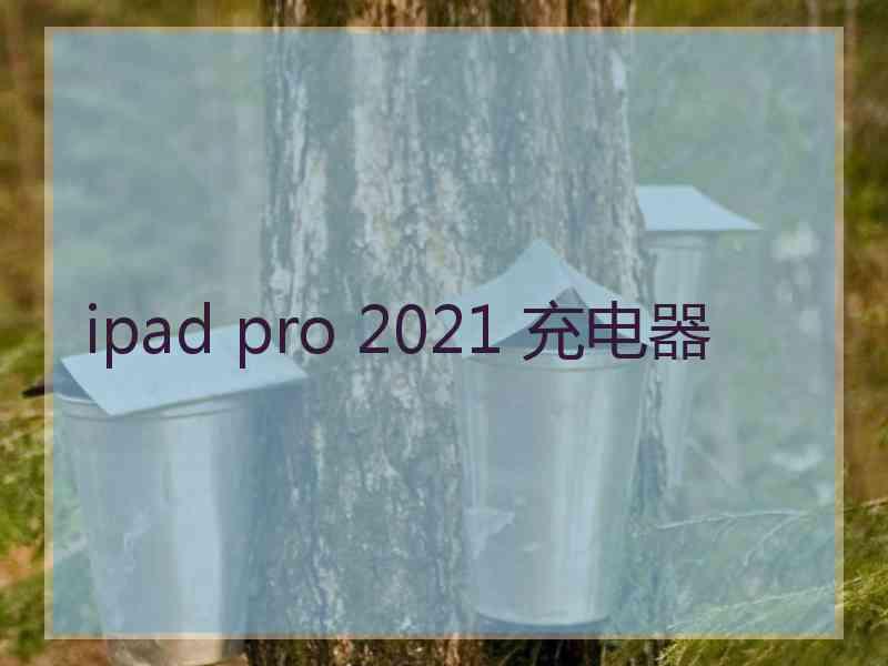 ipad pro 2021 充电器