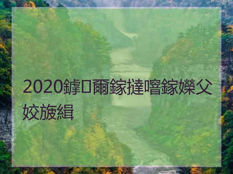 2020鎼爾鎵撻噾鎵嬫父姣旇緝