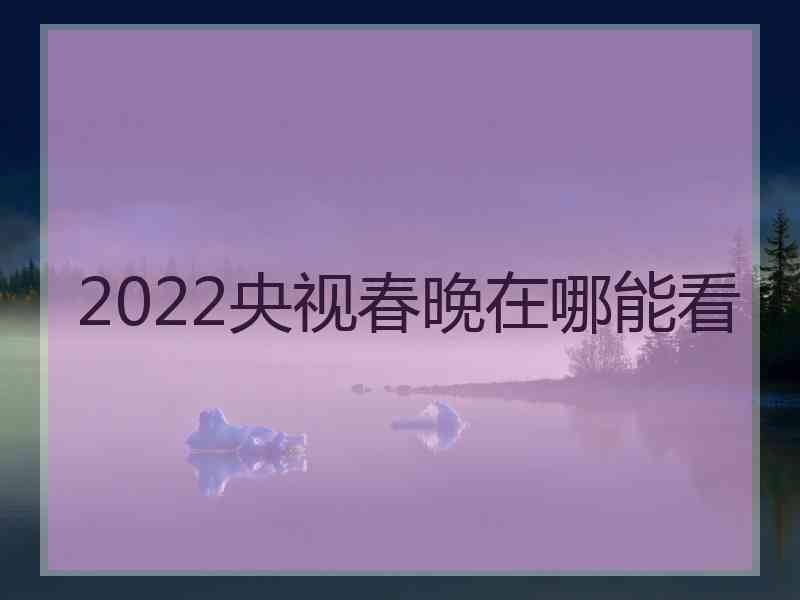 2022央视春晚在哪能看