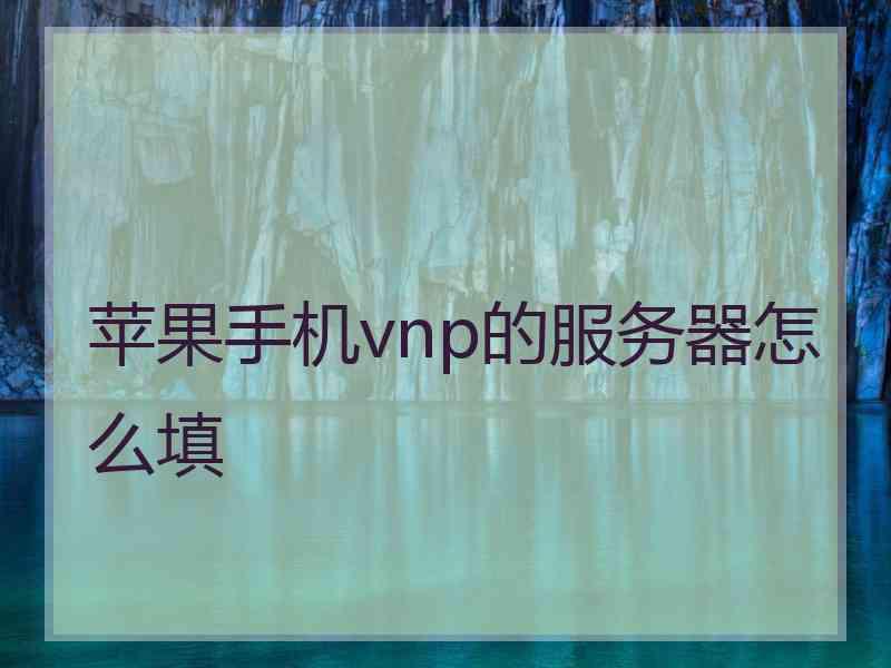 苹果手机vnp的服务器怎么填