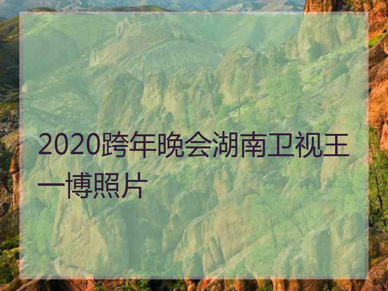 2020跨年晚会湖南卫视王一博照片