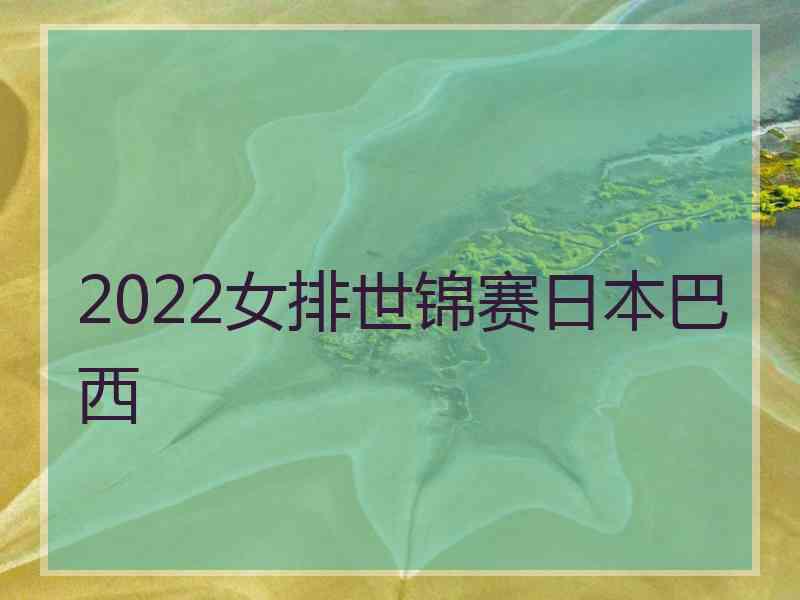 2022女排世锦赛日本巴西