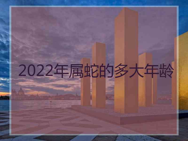 2022年属蛇的多大年龄