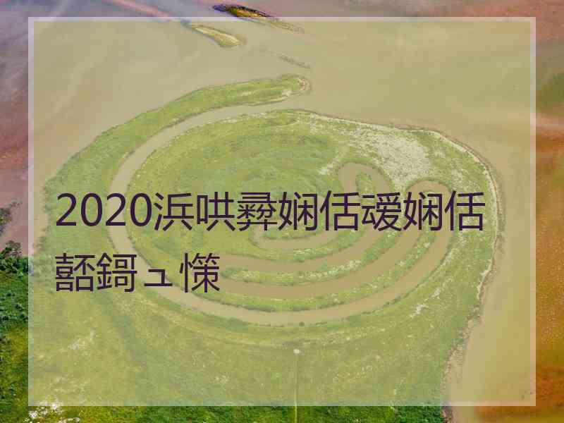 2020浜哄彛娴佸叆娴佸嚭鎶ュ憡