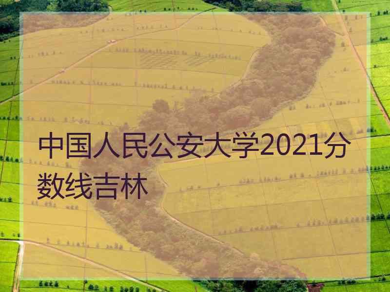 中国人民公安大学2021分数线吉林